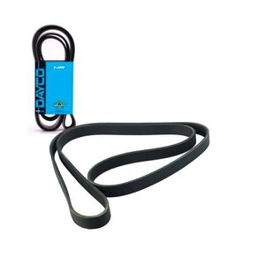 Correia Poly V Dayco Suprema 1994 A 1998 6 Cil. 4.1l Mpfi 06PK1675