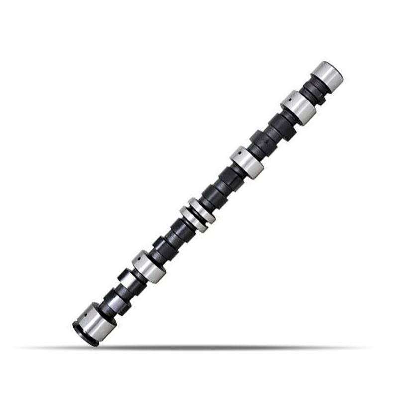 AP251