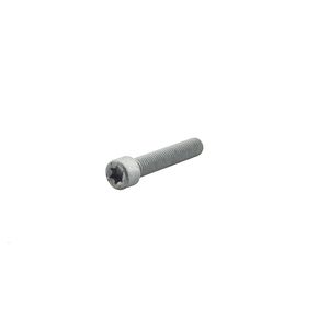 Parafuso Torx Do Coxim Astra /zafira /vectra Peças Genuínas GM 93288723