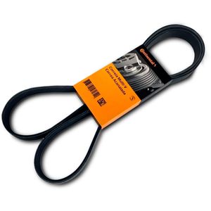 Correia Poly-v Gir Alt Ba Acd Dh 2.0 Zafira /aircross Contitech JH924408