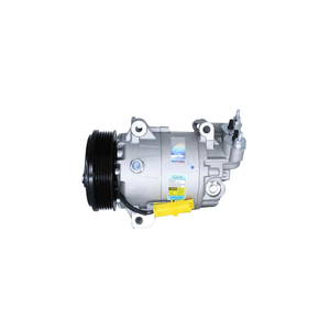 Compressor Do Ar Condicionado Flex 207 /hoggar /aircross /c3 Delphi CS20240