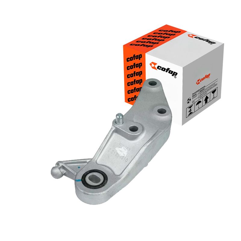 Cxc04176_1.jpg
