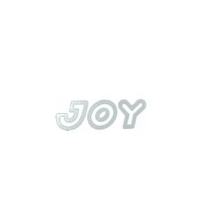 Emblema Joy Prata 07596-4 Corsa Novo 2003 a 2012