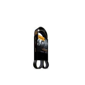 Correia Poly-V Gir Alt Dh Acd Xl Xlt Turbo Diesel  F-250 1999 a 2011