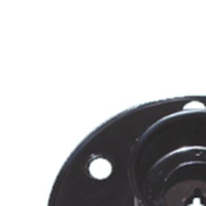 Kit Amortecedor Dianteiro Coxim Rolamento - Jh317293 Captiva