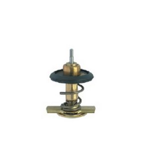 Válvula Termostática 1.8 8V Efi Gasolina -