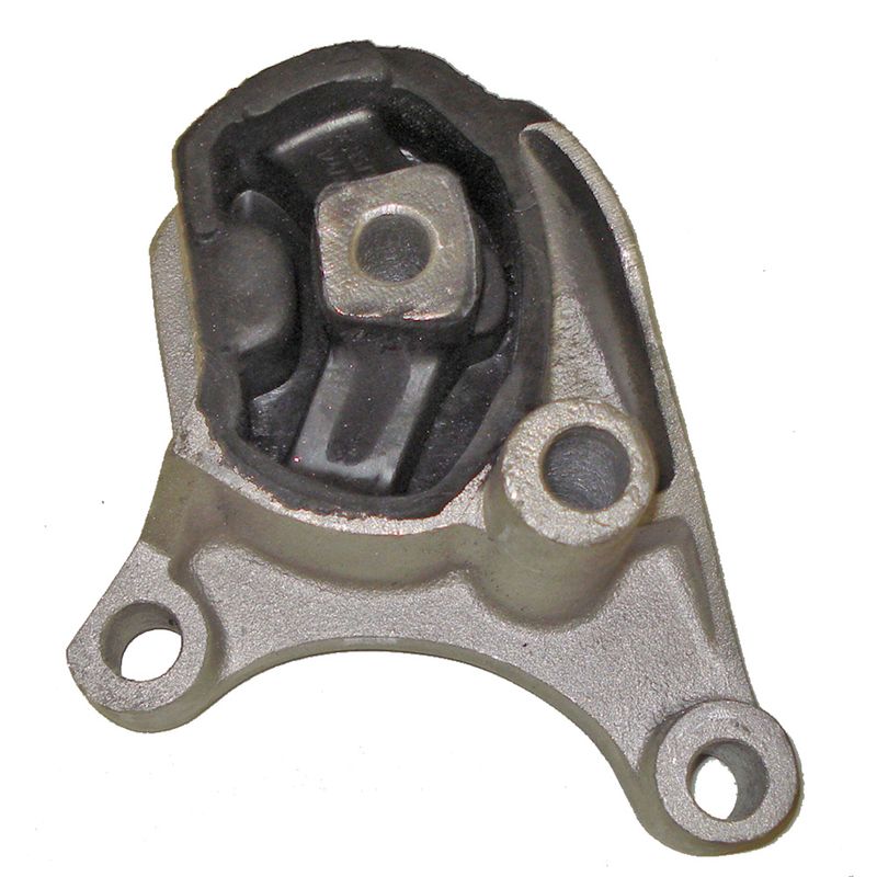 LC310336