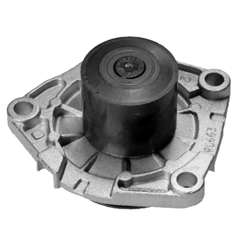LC528641