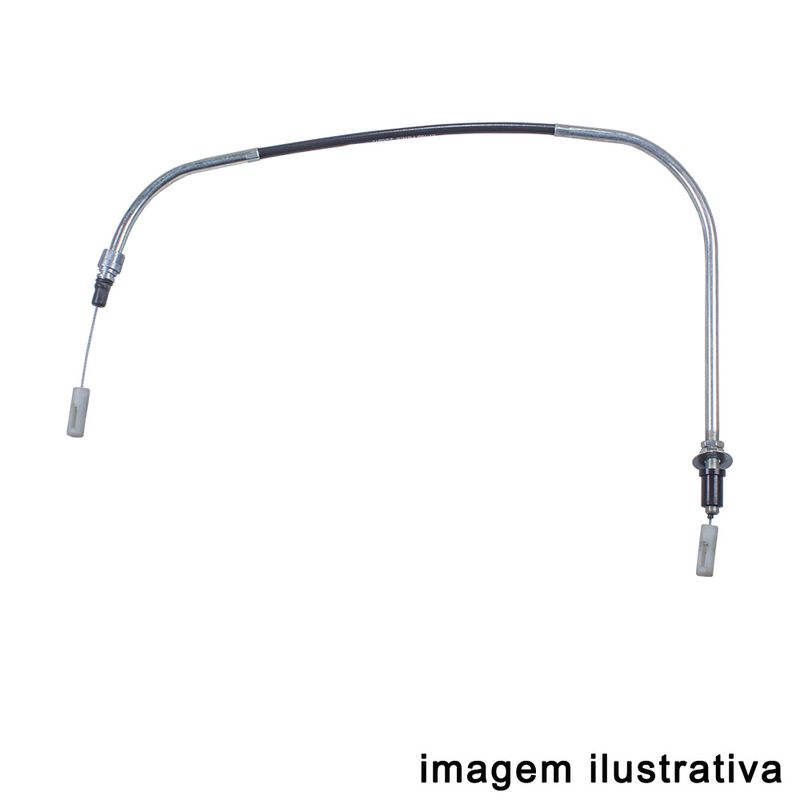 LC802069