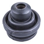 LC941832