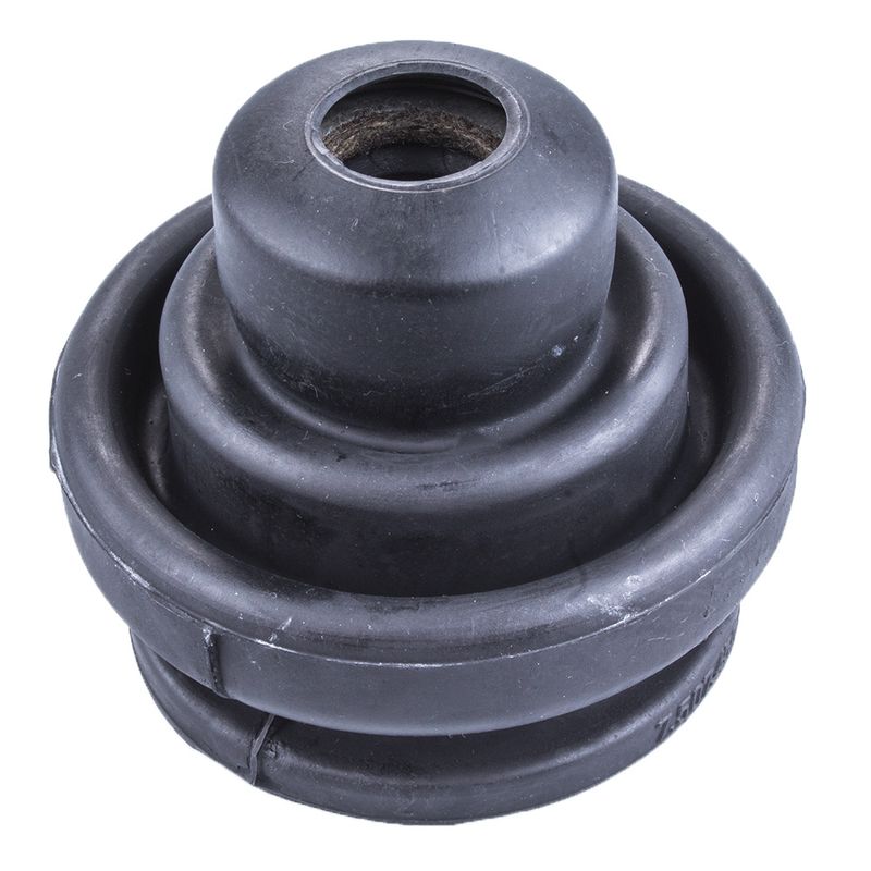 LC941832