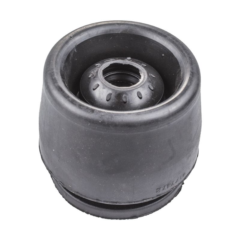 LC441821