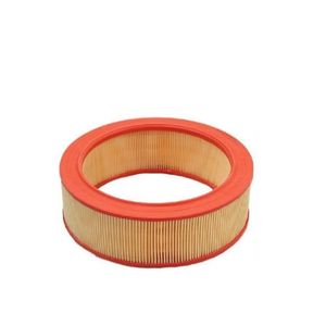Filtro De Ar Do Motor Logan 1.6 8v /clio /sandero Renault 7701069212