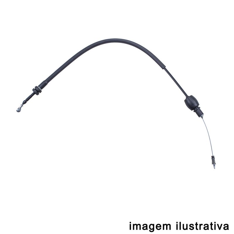 LC801054