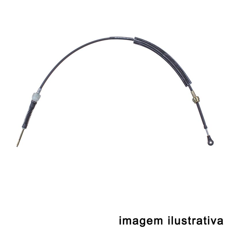 LC906069