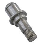 LC326518