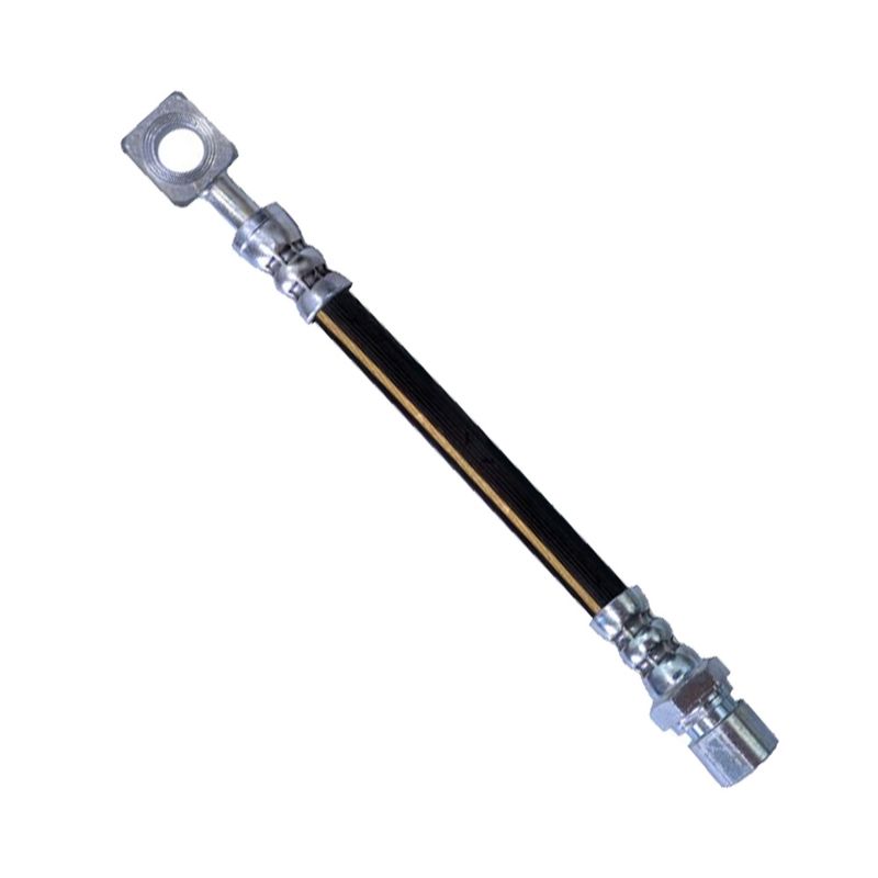 LC248290