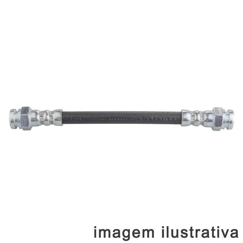 LC248096