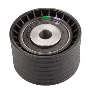 Polia Guia Correia Dentada  Logan 1.6 16v (estriada54x32x10mm) /clio /kangoo /megane /symbol /scenic