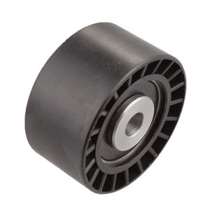 Polia Guia Correia Dentada  Tracker 2.0 8v Turbo Diesel (lisa60x31x10mm) /307 16v /c5 /c4 Pallas /xs