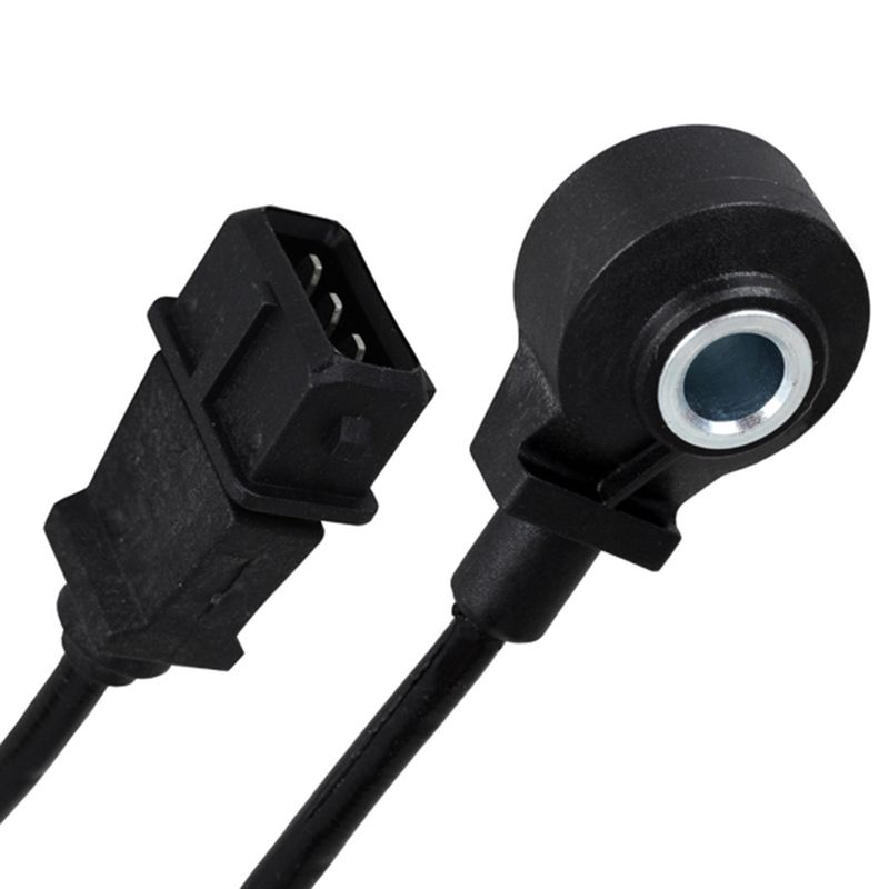 LC528560